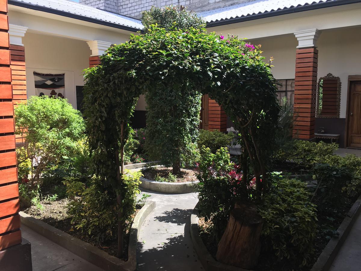 The Backpacker Hostal 伊瓦拉 外观 照片
