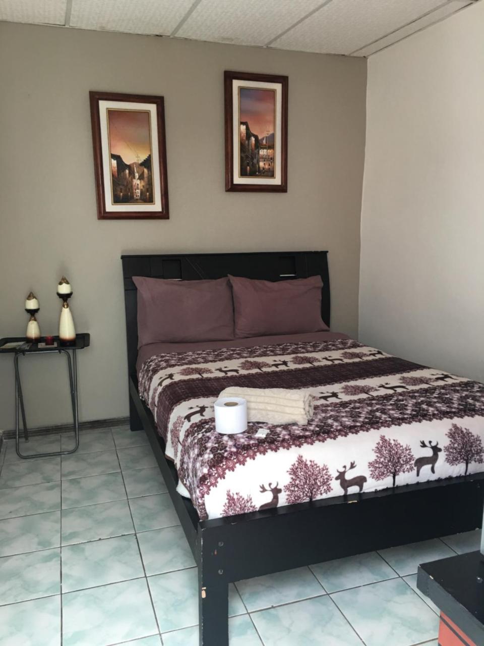 The Backpacker Hostal 伊瓦拉 外观 照片