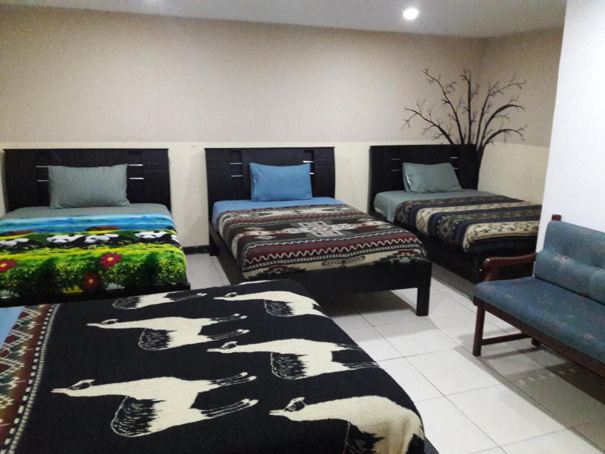 The Backpacker Hostal 伊瓦拉 外观 照片