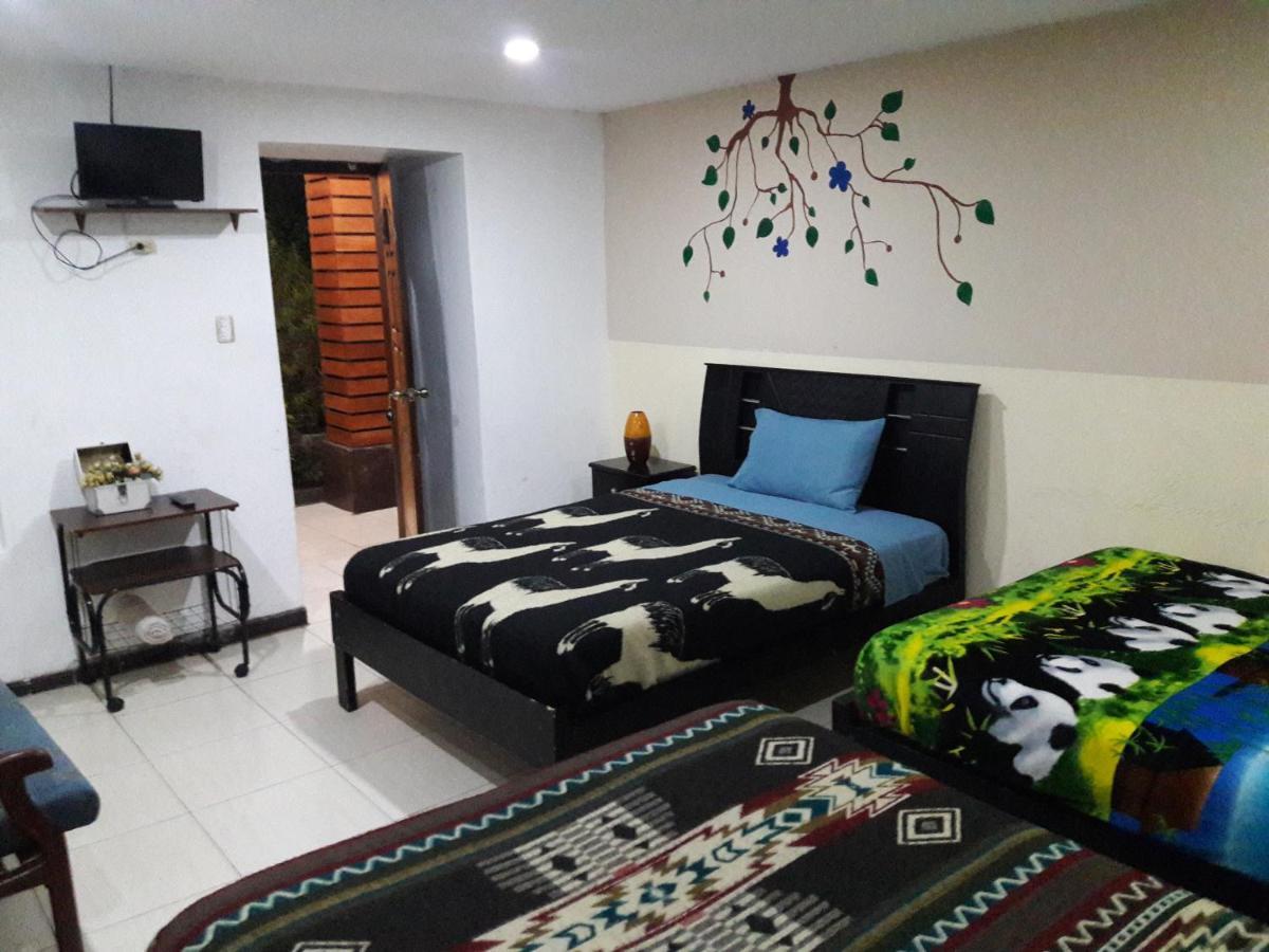The Backpacker Hostal 伊瓦拉 外观 照片