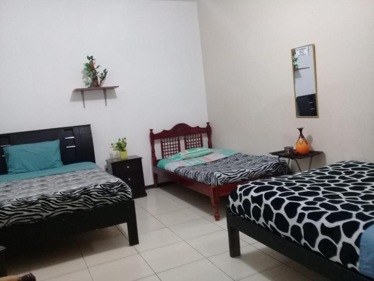 The Backpacker Hostal 伊瓦拉 外观 照片